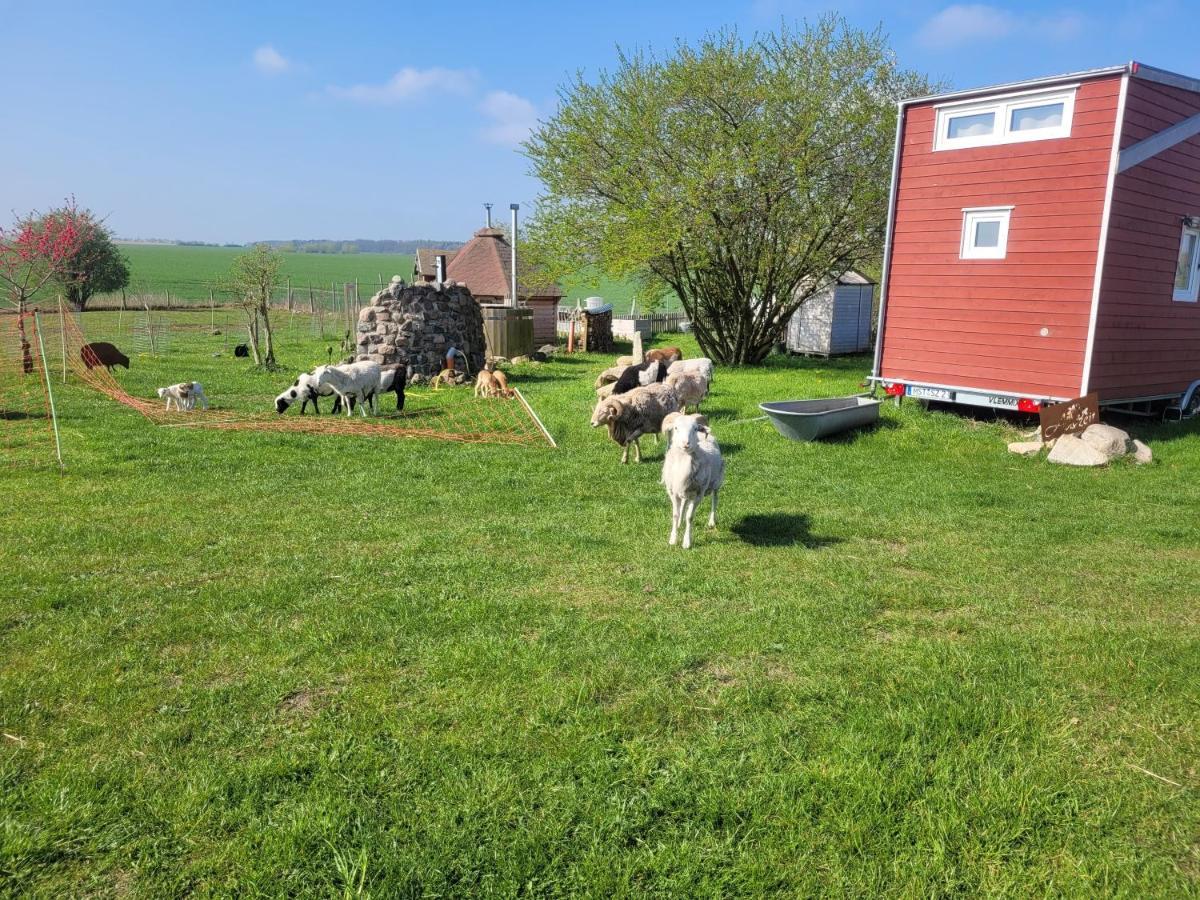 Вілла Tiny House Schonbeck  Екстер'єр фото