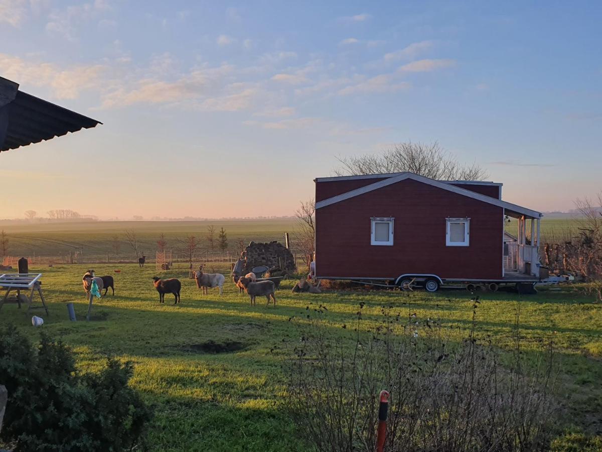 Вілла Tiny House Schonbeck  Екстер'єр фото